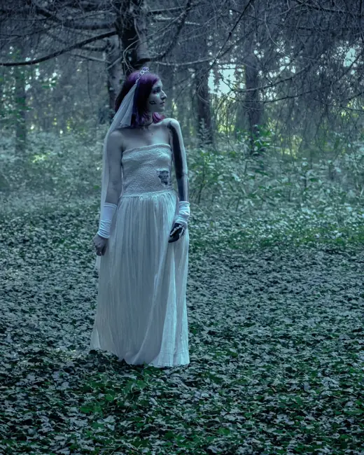 La sposa in piedi nel bosco, velo e abito bianco